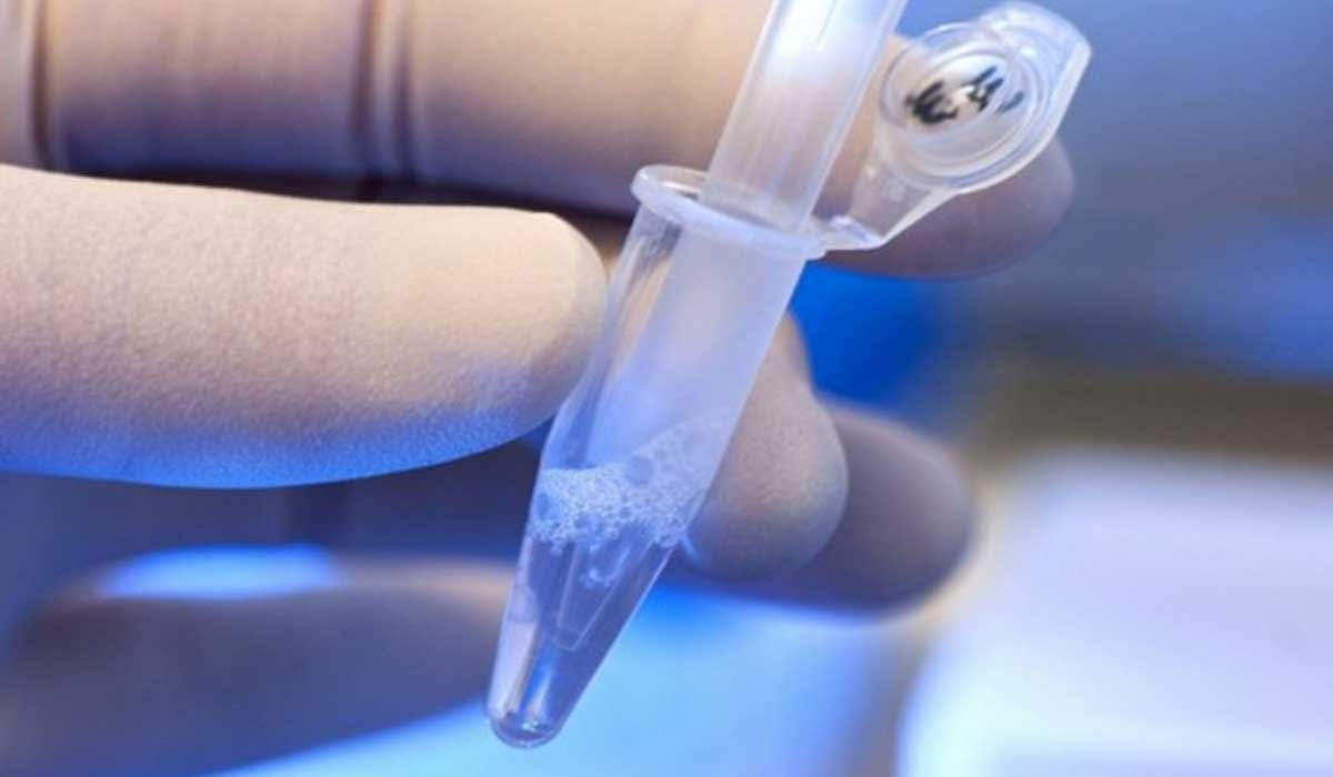 Reconhecimento de paternidade: Mutirão vai oferecer testes de DNA por R$ 100