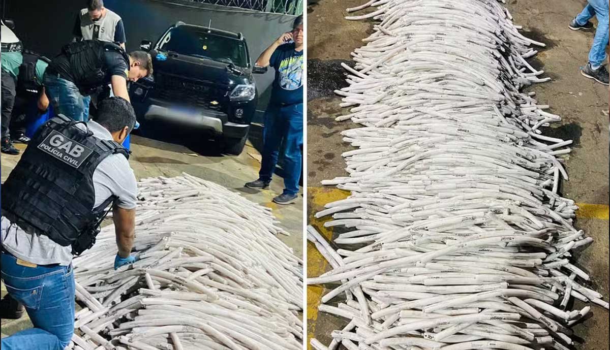 Ex-militar do Exército é preso durante a maior apreensão de explosivos em Goiás