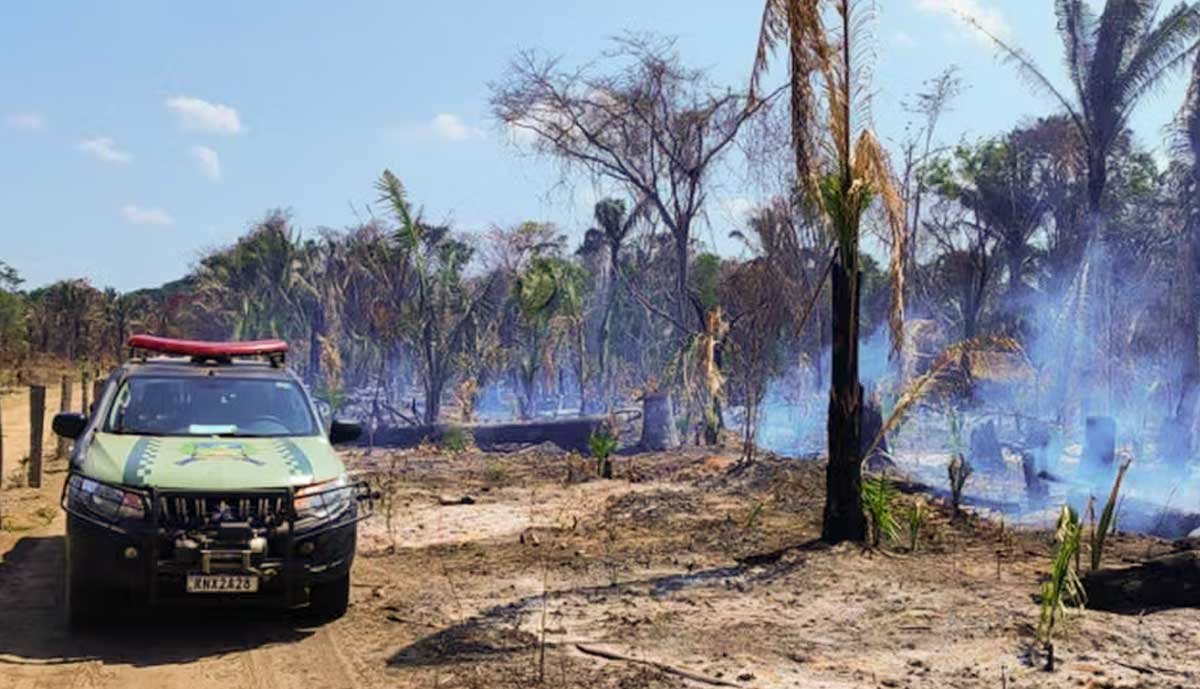 Homem é preso após ser flagrado ateando fogo em área de reserva ambiental no Tocantins