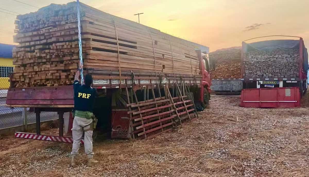 Dois caminhões com quase 100m³ madeira ilegal são apreendidos pela PRF na BR-230