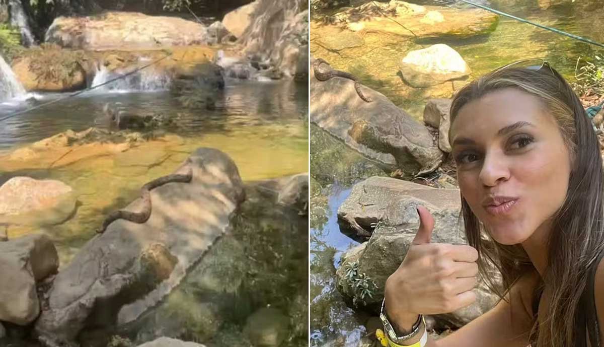 Vídeo: Turista se impressiona ao dar de cara com jiboia tomando sol e nadando em cachoeira