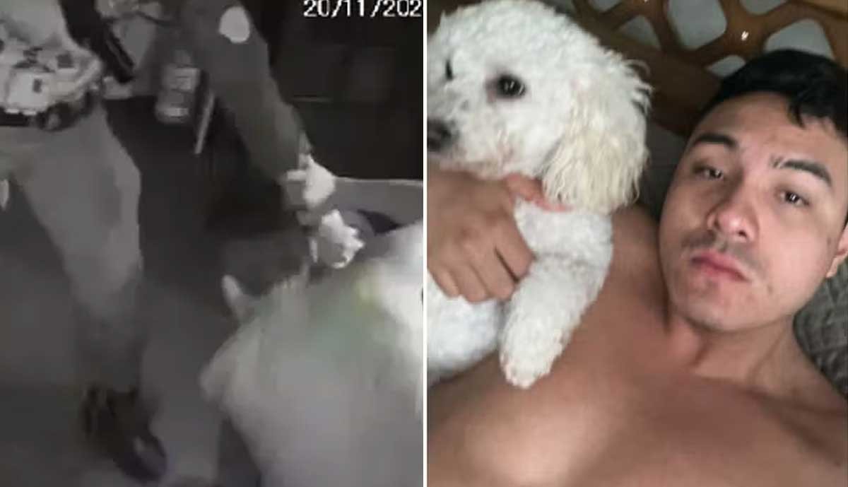 PM mata estudante de medicina com tiro à queima-roupa dentro de hotel em SP; Vídeo - Sou Mais Notícias