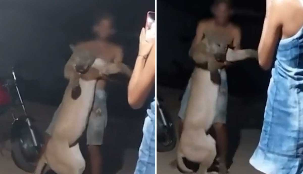 Homem é procurado pela polícia ao aparecer se exibindo após matar onça no interior do MA