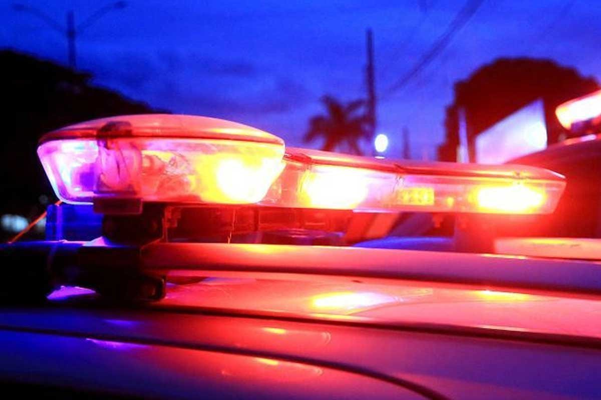 Empresário é encontrado morto em casa no PA e caso é investigado como possível ataque de pitbull - Sou Mais Notícias