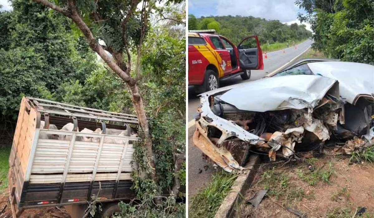 Três pessoas morrem após carro colidir com caminhão carregado com gado na GO-020 - Sou Mais Notícias