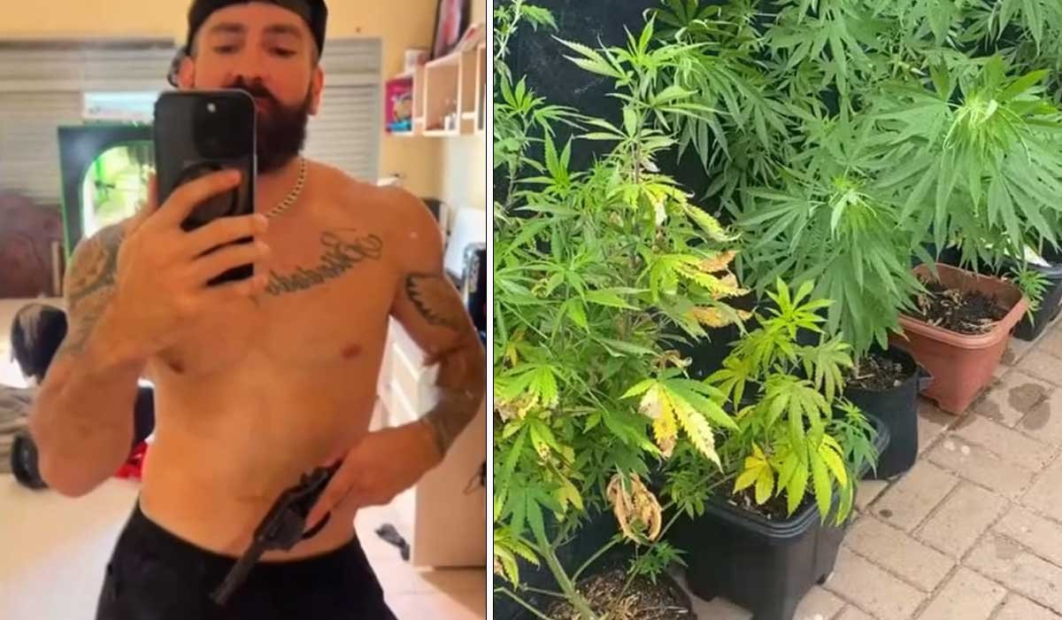 Homem que ostentava em vídeos armas e pés de maconha é preso após ex-mulher o denunciar por ameaça - Sou Mais Notícias