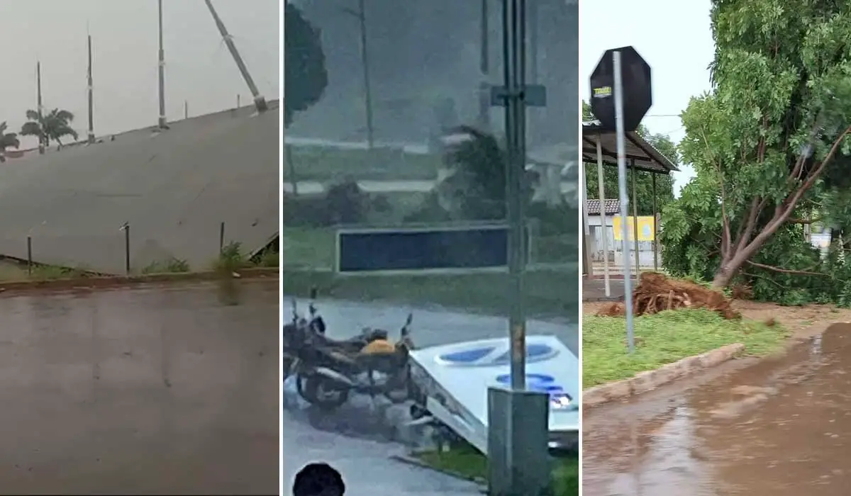 Vídeo: Forte temporal derruba teto de rodoviária, árvores e causa mais estragos em Porto Nacional