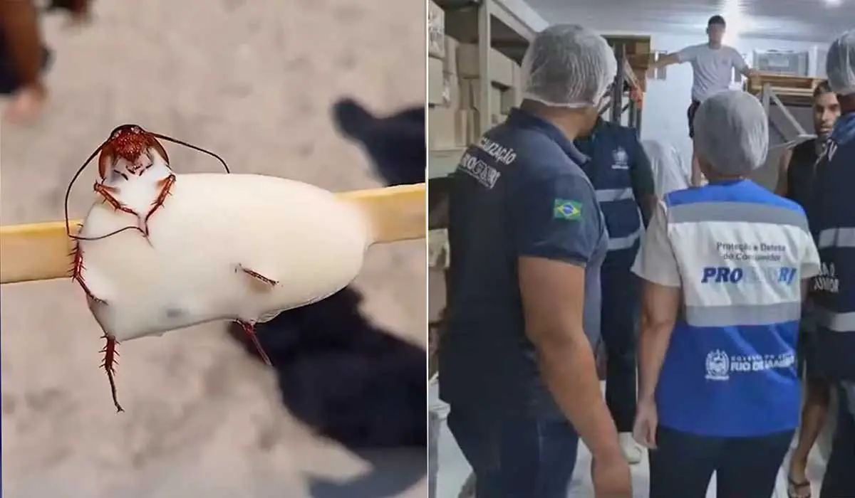 Fábrica de sorvetes pode ser multada em até R$ 13 milhões após barata ser encontrada em picolé
